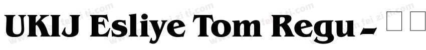 UKIJ Esliye Tom Regu字体转换